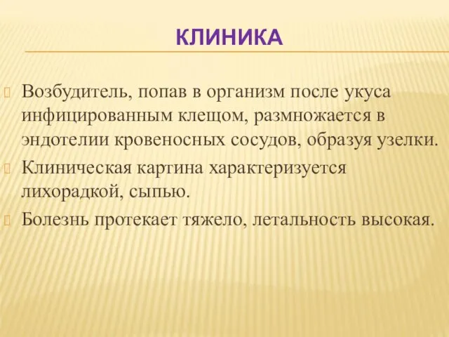 КЛИНИКА Возбудитель, попав в организм после укуса инфицированным клещом, размножается