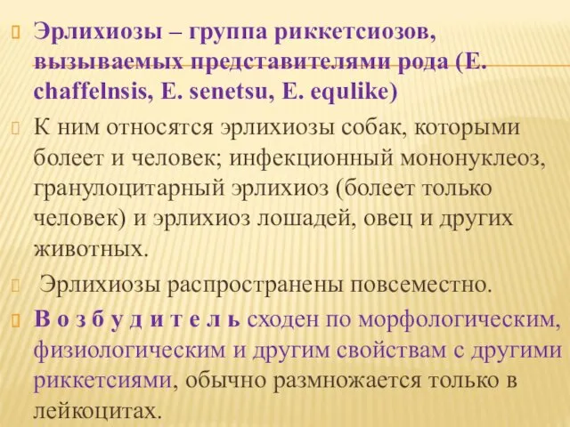 Эрлихиозы – группа риккетсиозов, вызываемых представителями рода (E. chaffelnsis, E.