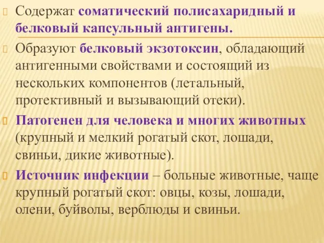 Содержат соматический полисахаридный и белковый капсульный антигены. Образуют белковый экзотоксин,