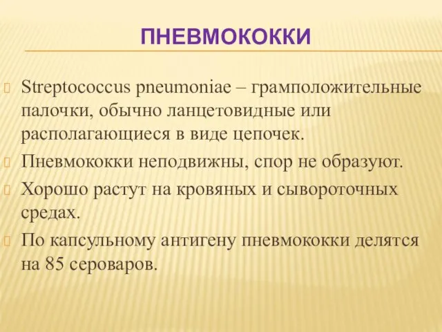 ПНЕВМОКОККИ Streptococcus pneumoniae – грамположительные палочки, обычно ланцетовидные или располагающиеся