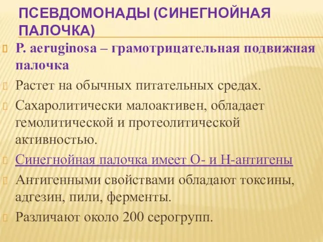 ПСЕВДОМОНАДЫ (СИНЕГНОЙНАЯ ПАЛОЧКА) P. aeruginosa – грамотрицательная подвижная палочка Растет