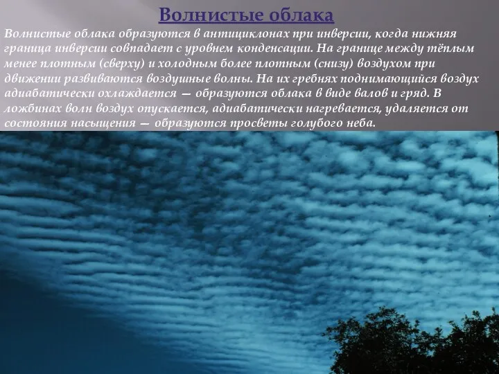 Волнистые облака Волнистые облака образуются в антициклонах при инверсии, когда