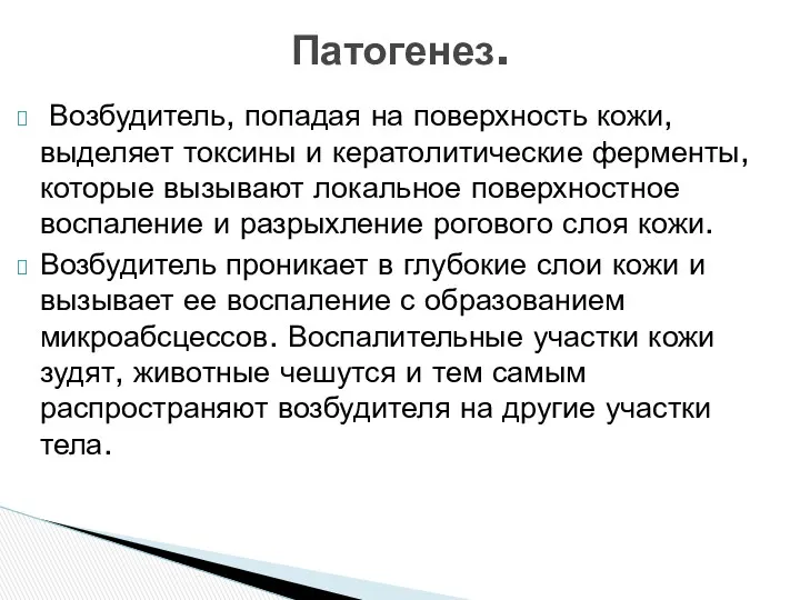 Возбудитель, попадая на поверхность кожи, выделяет токсины и кератолитические ферменты, которые вызывают локальное