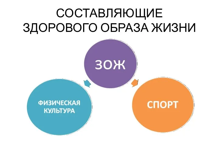 СОСТАВЛЯЮЩИЕ ЗДОРОВОГО ОБРАЗА ЖИЗНИ