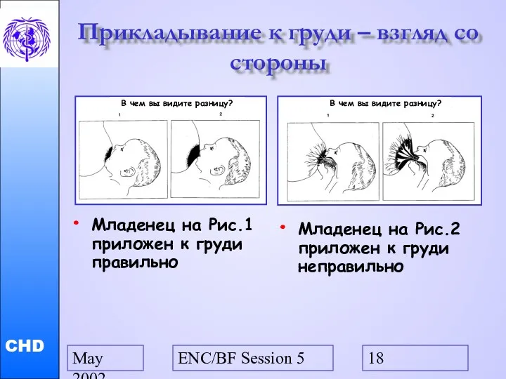 May 2002 ENC/BF Session 5 Прикладывание к груди – взгляд со стороны Младенец