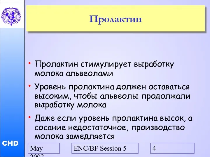 May 2002 ENC/BF Session 5 Пролактин Пролактин стимулирует выработку молока