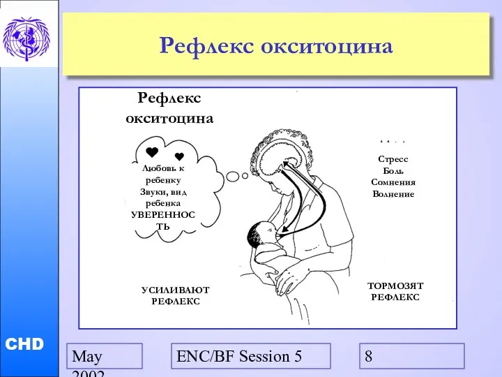 May 2002 ENC/BF Session 5 Рефлекс окситоцина Рефлекс окситоцина Любовь к ребенку Звуки,