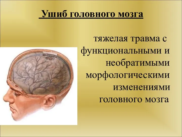 Ушиб головного мозга тяжелая травма с функциональными и необратимыми морфологическими изменениями головного мозга
