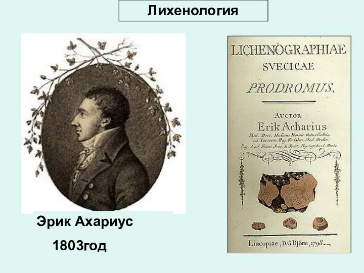 Эрик Ахариус 1803год Лихенология