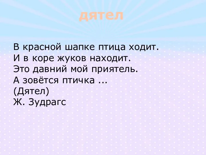 дятел В красной шапке птица ходит. И в коре жуков