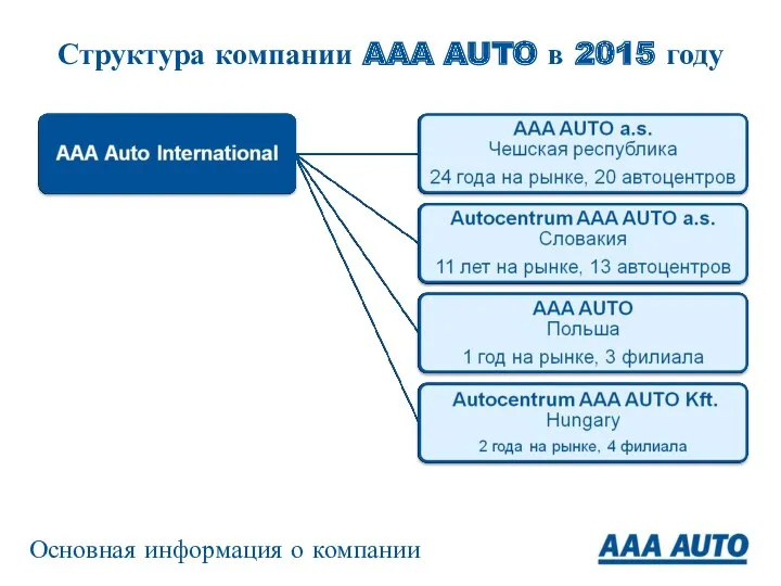 Структура компании AAA AUTO в 2015 году Основная информация о компании