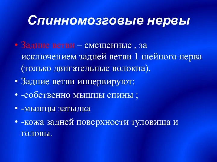 Спинномозговые нервы Задние ветви – смешенные , за исключением задней