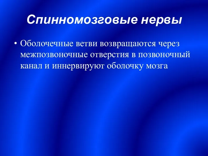 Спинномозговые нервы Оболочечные ветви возвращаются через межпозвоночные отверстия в позвоночный канал и иннервируют оболочку мозга