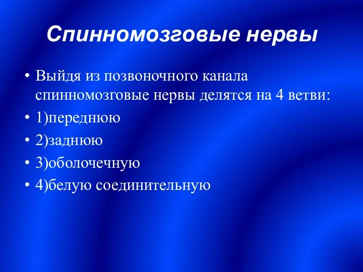 Спинномозговые нервы Выйдя из позвоночного канала спинномозговые нервы делятся на