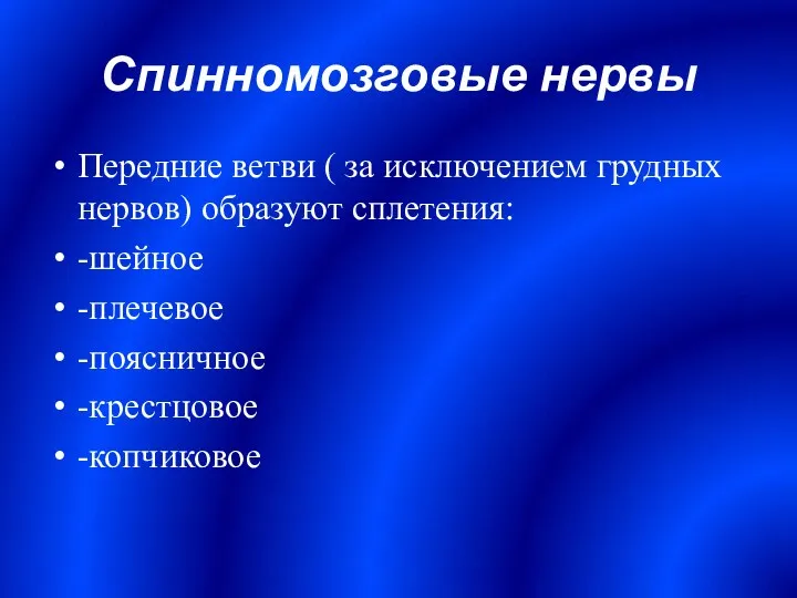 Спинномозговые нервы Передние ветви ( за исключением грудных нервов) образуют сплетения: -шейное -плечевое -поясничное -крестцовое -копчиковое