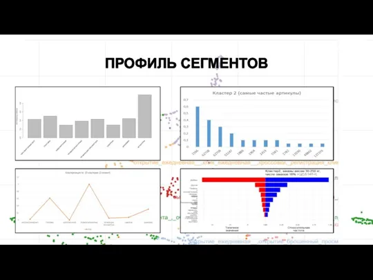 ПРОФИЛЬ СЕГМЕНТОВ