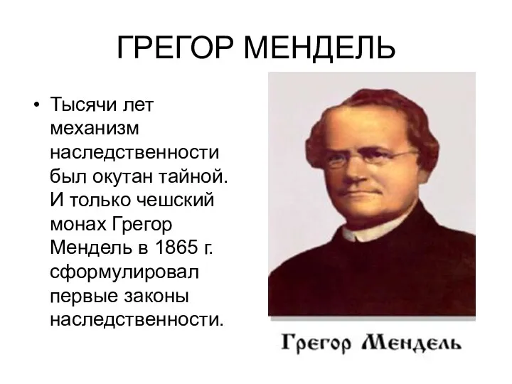 ГРЕГОР МЕНДЕЛЬ Тысячи лет механизм наследственности был окутан тайной. И