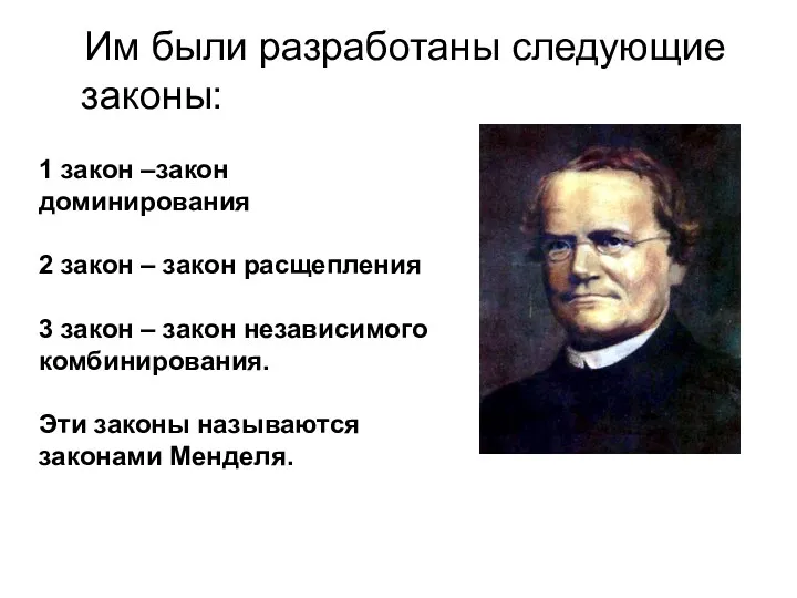 Им были разработаны следующие законы: 1 закон –закон доминирования 2