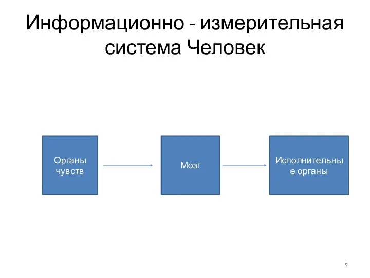 Информационно - измерительная система Человек Органы чувств Мозг Исполнительные органы