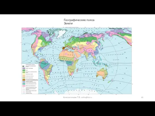 Константинова Т.В. caltha@list.ru Географические пояса Земли