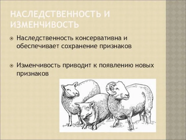 НАСЛЕДСТВЕННОСТЬ И ИЗМЕНЧИВОСТЬ Наследственность консервативна и обеспечивает сохранение признаков Изменчивость приводит к появлению новых признаков