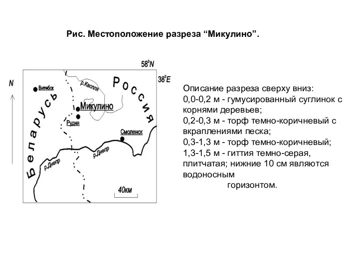 Описание разреза сверху вниз: 0,0-0,2 м - гумусированный суглинок с