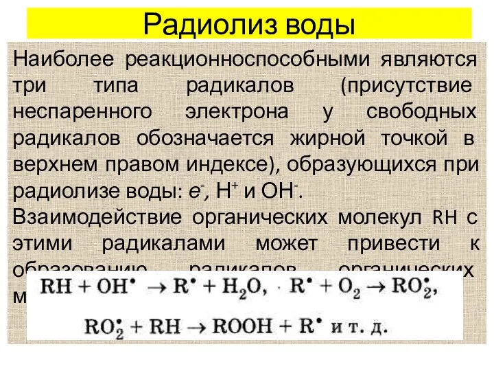 Радиолиз воды Наиболее реакционноспособными являются три типа радикалов (присутствие неспаренного