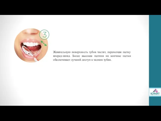 Жевательную поверхность зубов чистят, перемещая щетку вперед-назад. Более высокая щетина на кончике щетки
