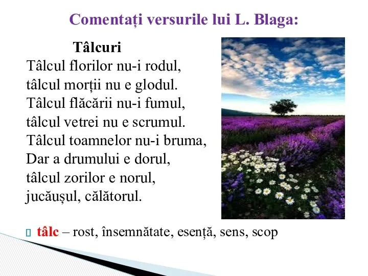 Tâlcuri Tâlcul florilor nu-i rodul, tâlcul morții nu e glodul.