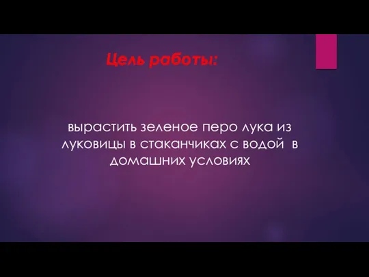 Цель работы: вырастить зеленое перо лука из луковицы в стаканчиках с водой в домашних условиях