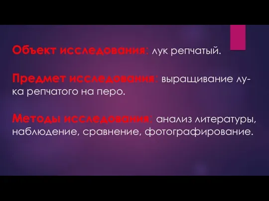 Объект исследования: лук репчатый. Предмет исследования: выращивание лу-ка репчатого на