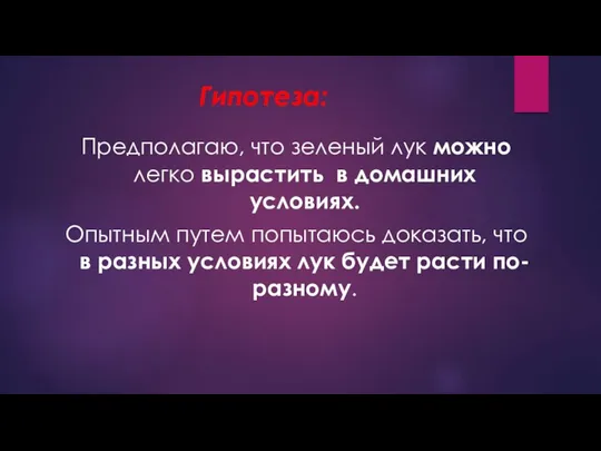 Гипотеза: Предполагаю, что зеленый лук можно легко вырастить в домашних