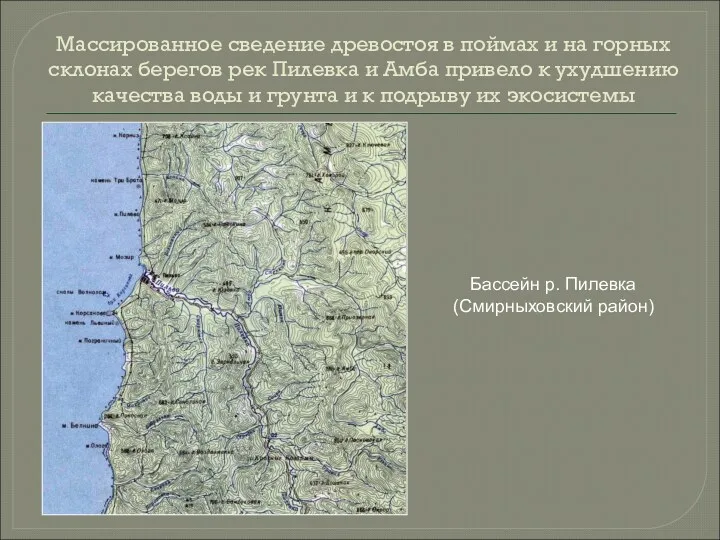 Массированное сведение древостоя в поймах и на горных склонах берегов