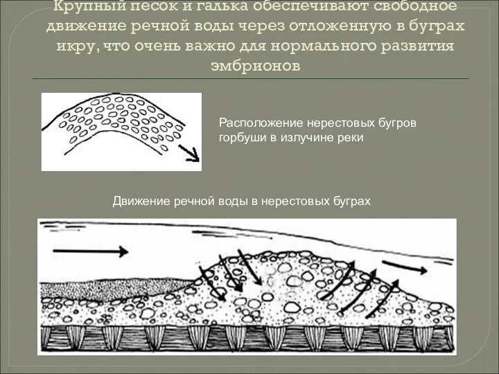 Крупный песок и галька обеспечивают свободное движение речной воды через