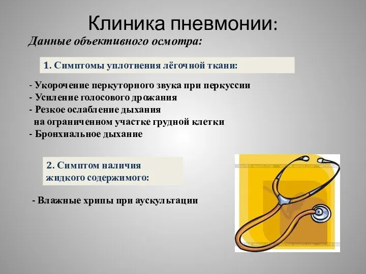 Клиника пневмонии: Данные объективного осмотра: 1. Симптомы уплотнения лёгочной ткани: