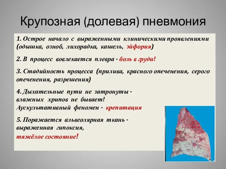 Крупозная (долевая) пневмония 1. Острое начало с выраженными клиническими проявлениями