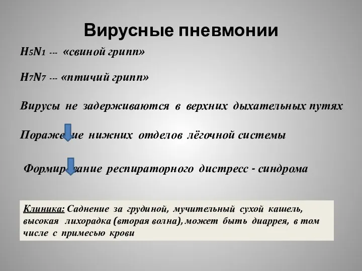 Вирусные пневмонии H5N1 --- «свиной грипп» H7N7 --- «птичий грипп»