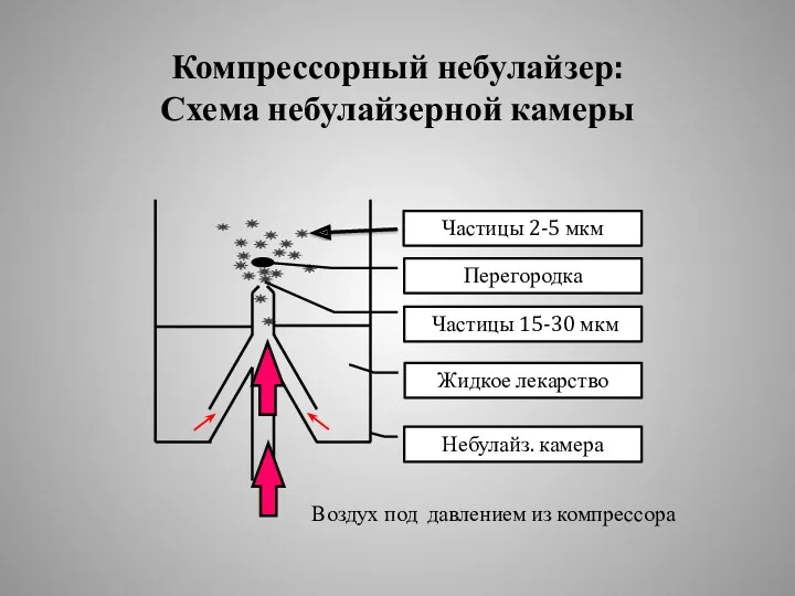 Компрессорный небулайзер: Схема небулайзерной камеры