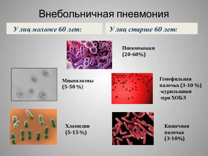 Внебольничная пневмония У лиц моложе 60 лет: У лиц старше