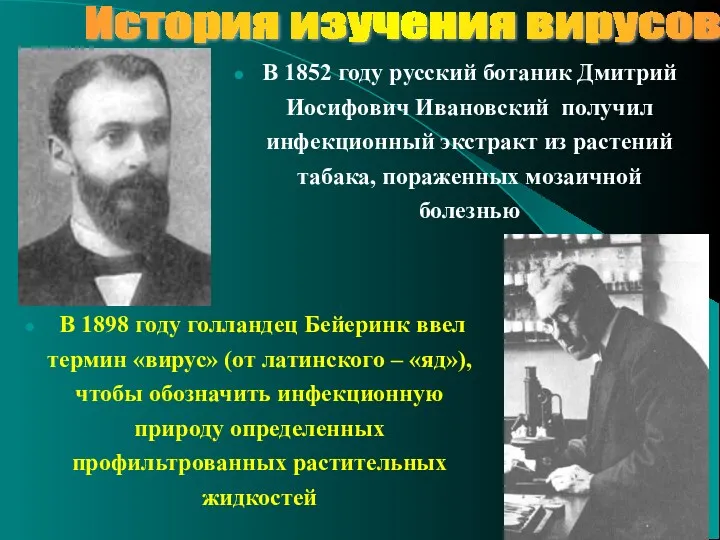 История изучения вирусов В 1852 году русский ботаник Дмитрий Иосифович