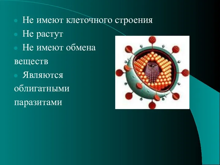 Не имеют клеточного строения Не растут Не имеют обмена веществ Являются облигатными паразитами