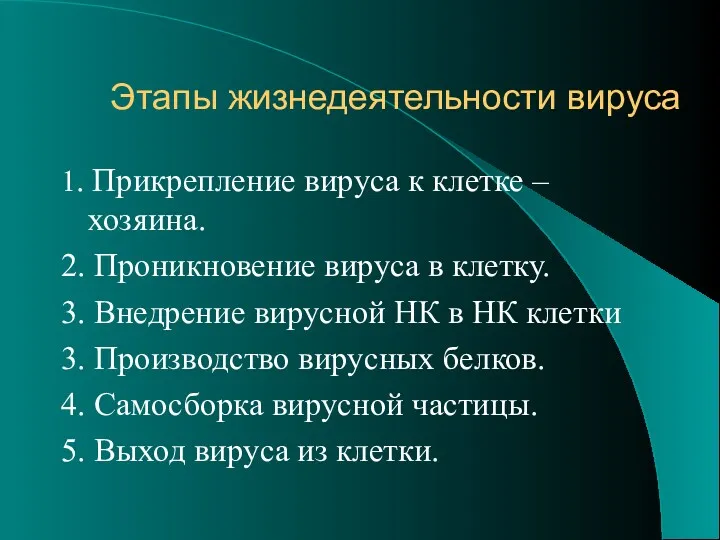 Этапы жизнедеятельности вируса 1. Прикрепление вируса к клетке –хозяина. 2.