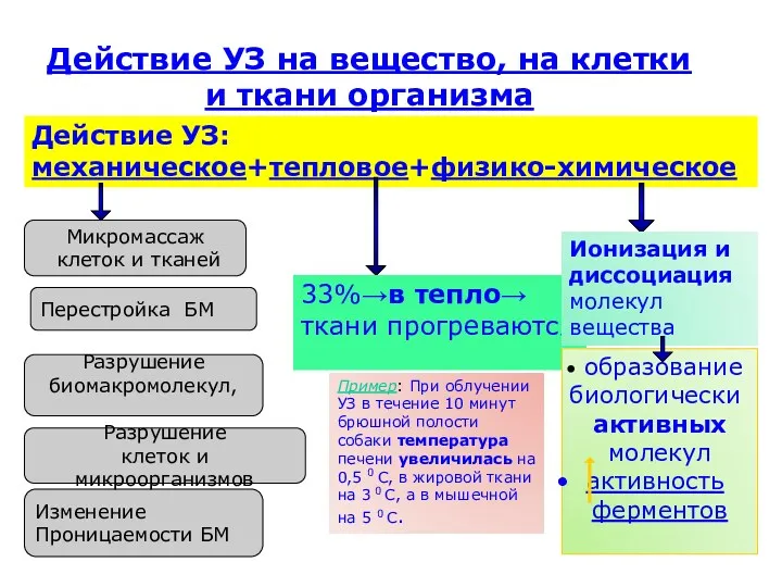 Действие УЗ на вещество, на клетки и ткани организма Действие