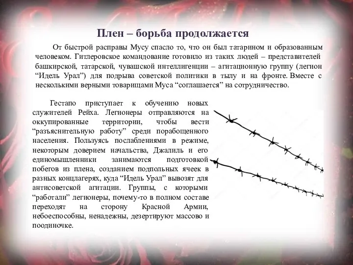 Плен – борьба продолжается От быстрой расправы Мусу спасло то,