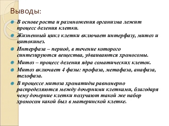 Выводы: В основе роста и размножения организма лежит процесс деления