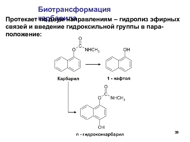 Биотрансформация карбарила Протекает по двум направлениям – гидролиз эфирных связей и введение гидроксильной группы в пара-положение: