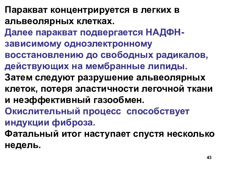 Паракват концентрируется в легких в альвеолярных клетках. Далее паракват подвергается