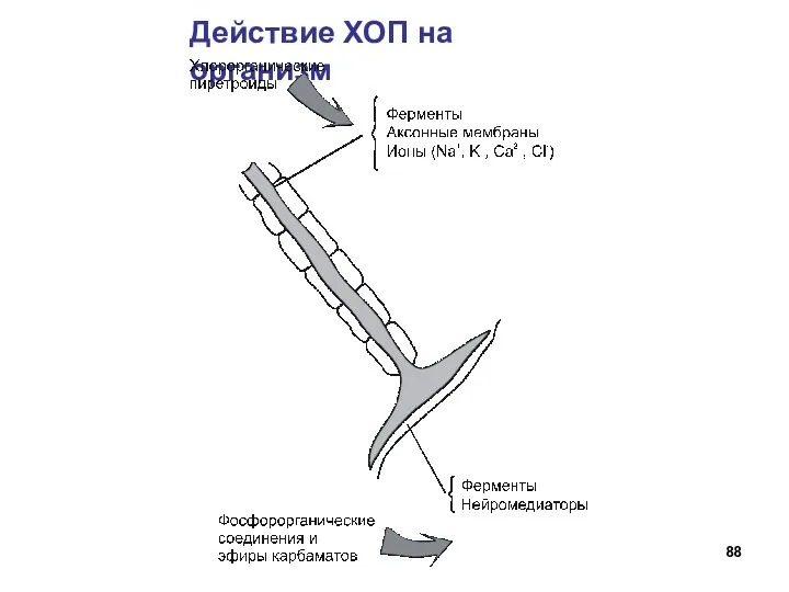 Действие ХОП на организм