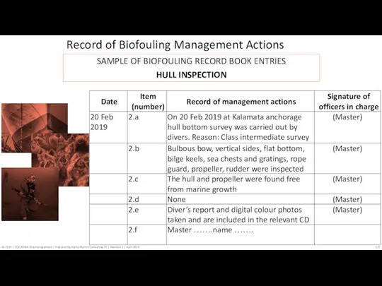 Record of Biofouling Management Actions SAMPLE OF BIOFOULING RECORD BOOK ENTRIES HULL INSPECTION