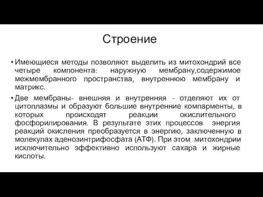 Строение Имеющиеся методы позволяют выделить из митохондрий все четыре компонента: